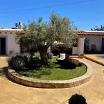 Villa PALMERA