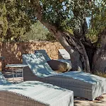 Can March Authentic Finca Central