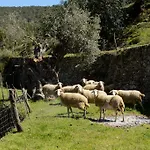 Valley Club Ibiza - Boutique Agroturismo