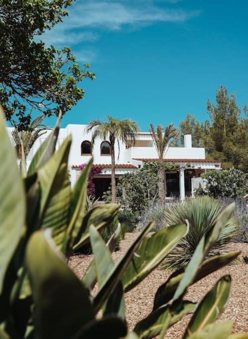빌라 4 Palms Only 5 Minutes From Ibiza