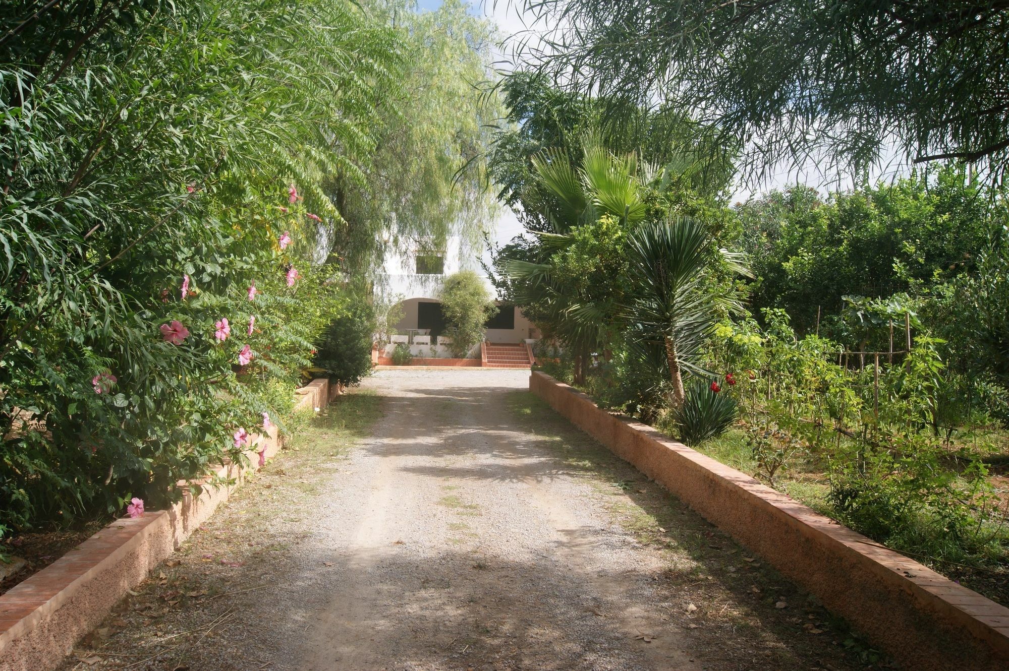 شقة With 7 In Sant Antoni De Portmany, With Private Pool, Encl