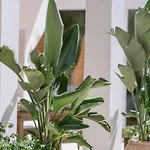 Beautiful Property 3 Minutes Near Cala Jondal