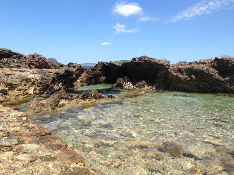 Blanco Y Negro Es Canar (Ibiza)