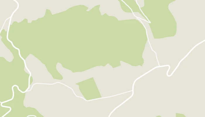 Térkép