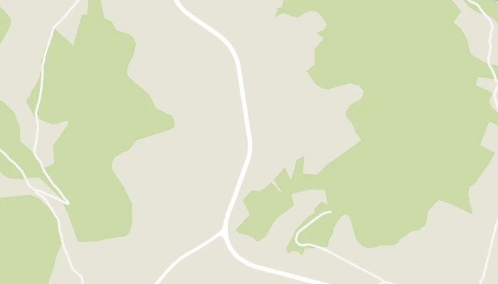 Térkép